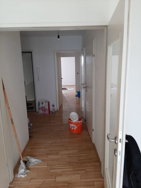 messiwohnung-nachher4