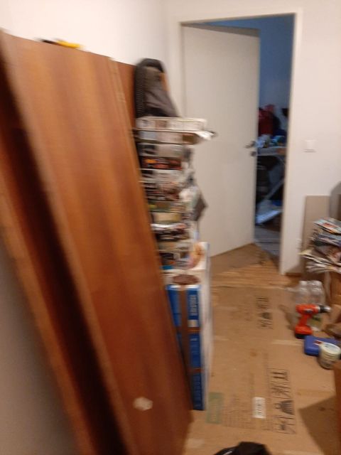 messiwohnung-vorher2