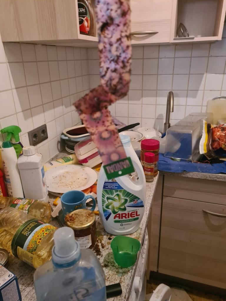 Küche Entrümpelung 